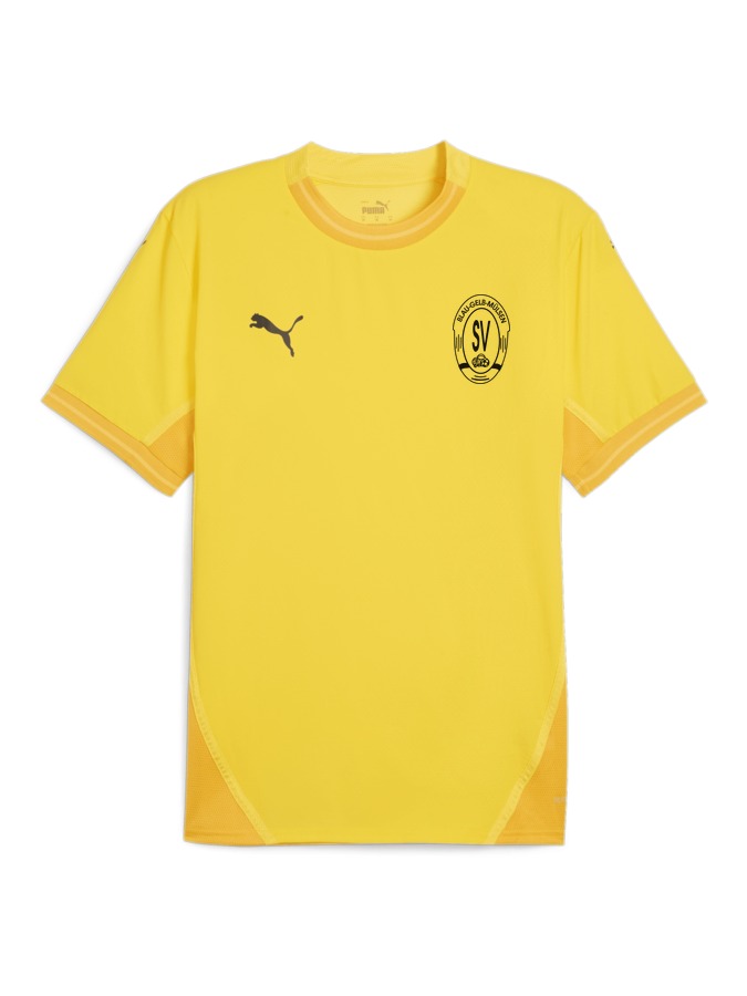 PUMA teamFINAL Trikot