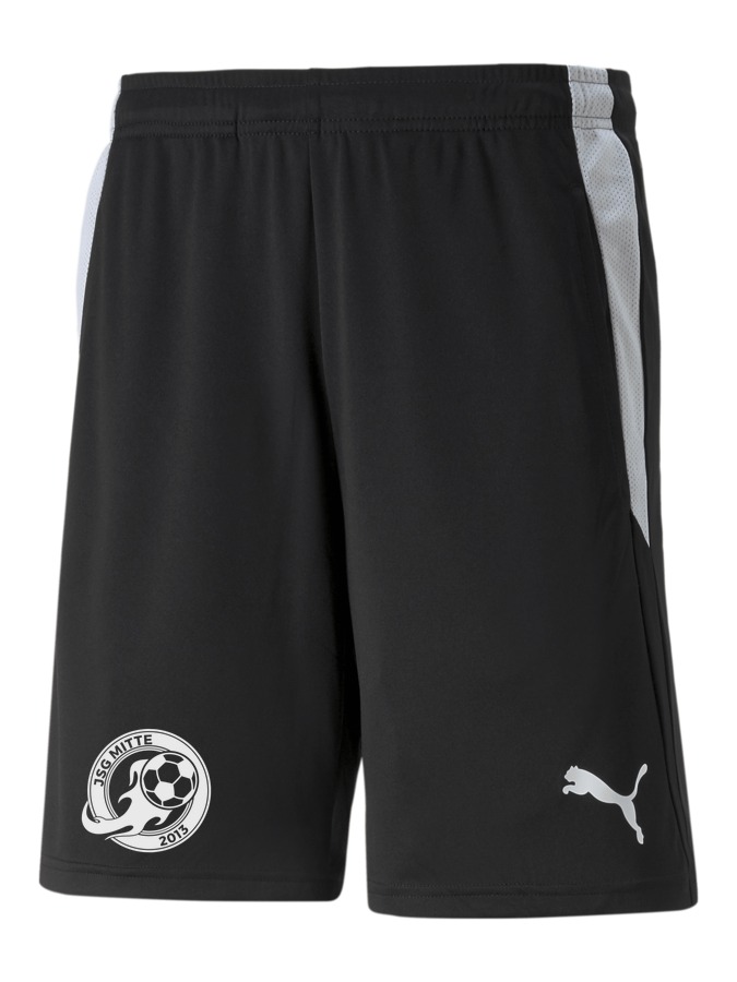 PUMA teamLIGA Referee Shorts