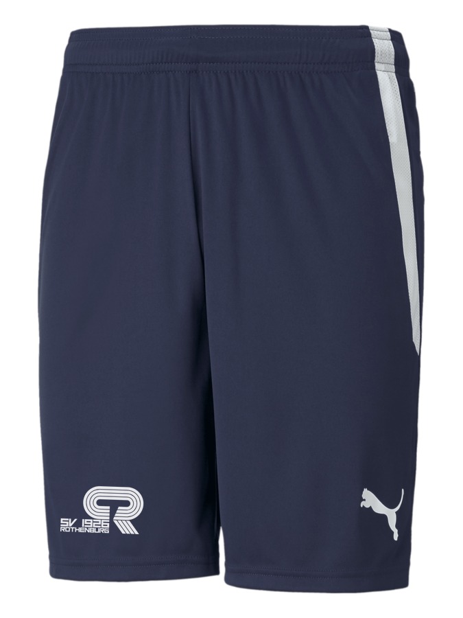 PUMA teamLIGA Shorts