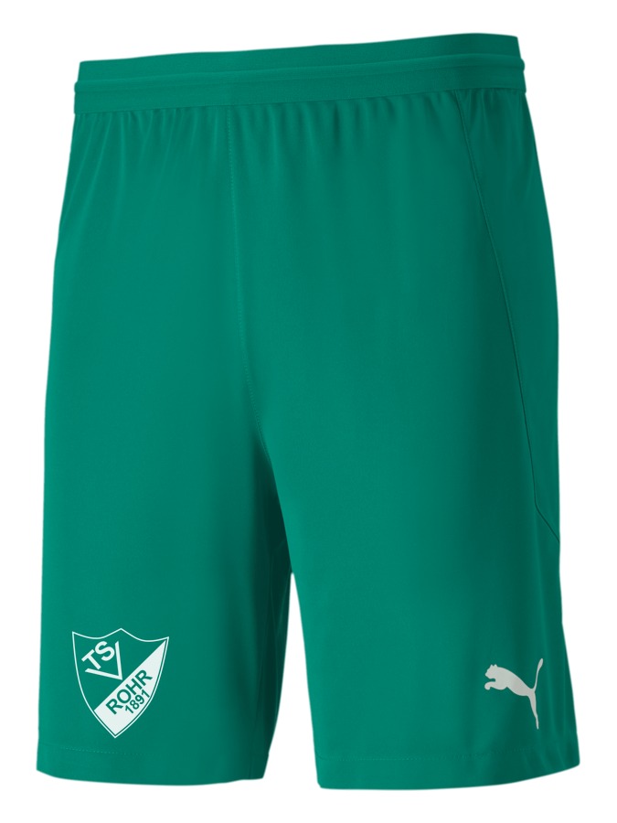 PUMA teamFINAL 21 Knit Shorts