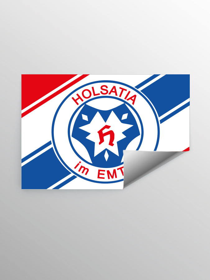 STIC I1