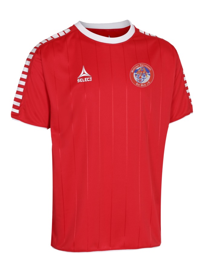 Select Argentina Trikot