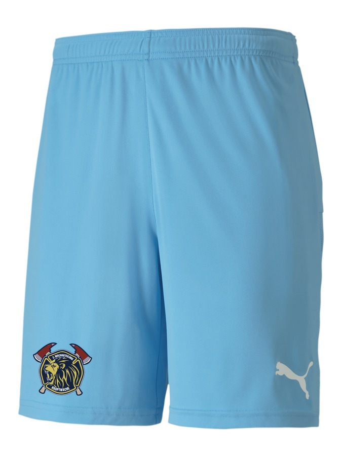 PUMA teamGOAL 23 Knit Shorts