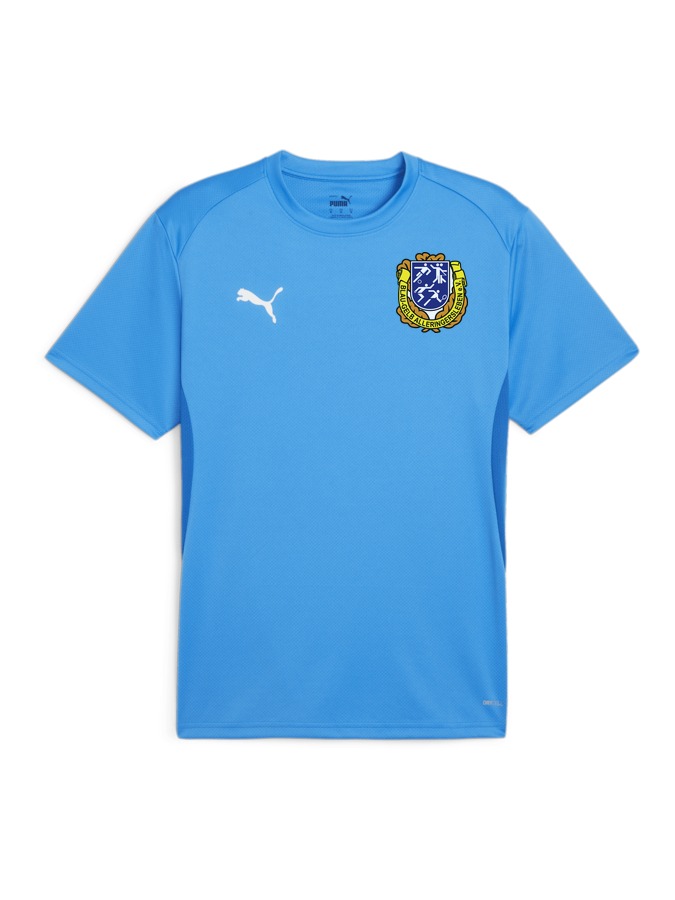 PUMA teamGOAL Trikot