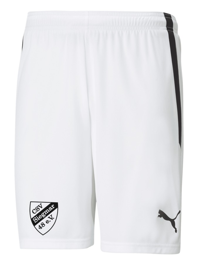 PUMA teamLIGA Shorts