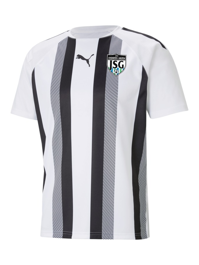 PUMA teamLIGA Striped Trikot