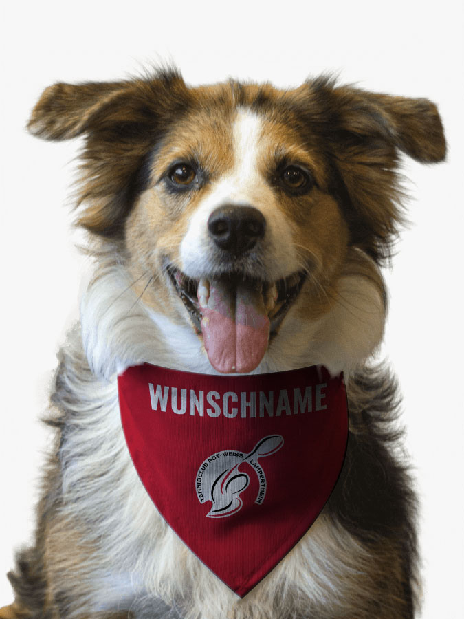 Hundehalstuch