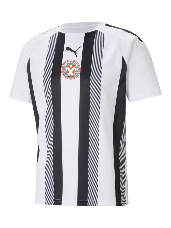 PUMA teamLIGA Striped Trikot