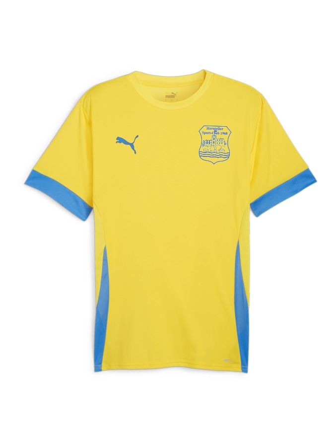 PUMA teamGOAL Matchday Trikot