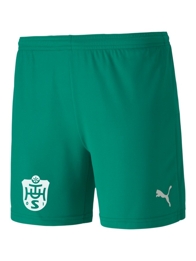 PUMA teamGOAL 23 Knit Shorts Damen