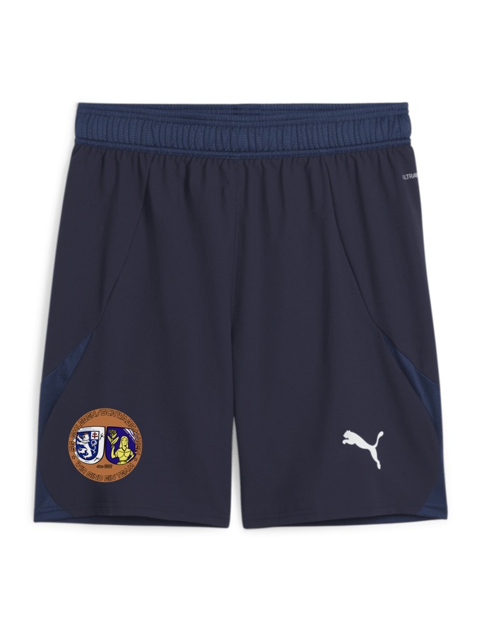 PUMA teamFINAL Shorts