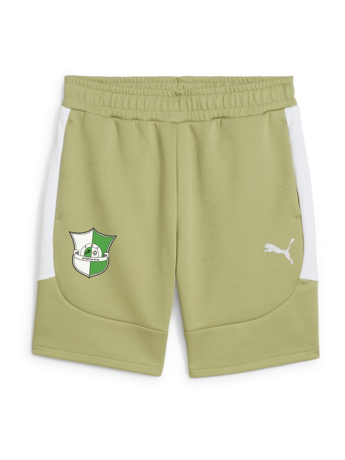 PUMA teamEVOSTRIPE Shorts
