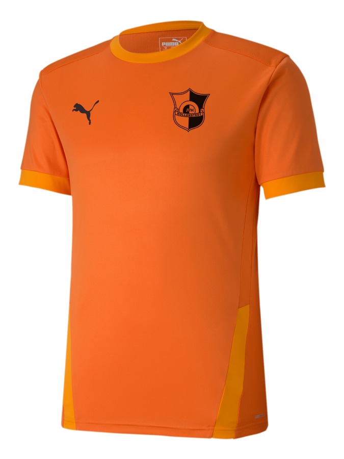 PUMA teamGOAL 23 Trikot