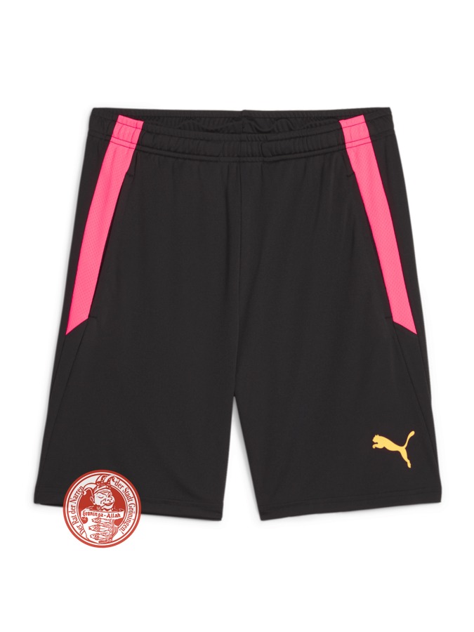 PUMA teamLIGA Training Shorts 2 (Offene Taschen)