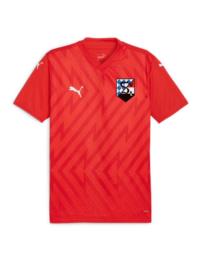 PUMA teamGLORY Trikot