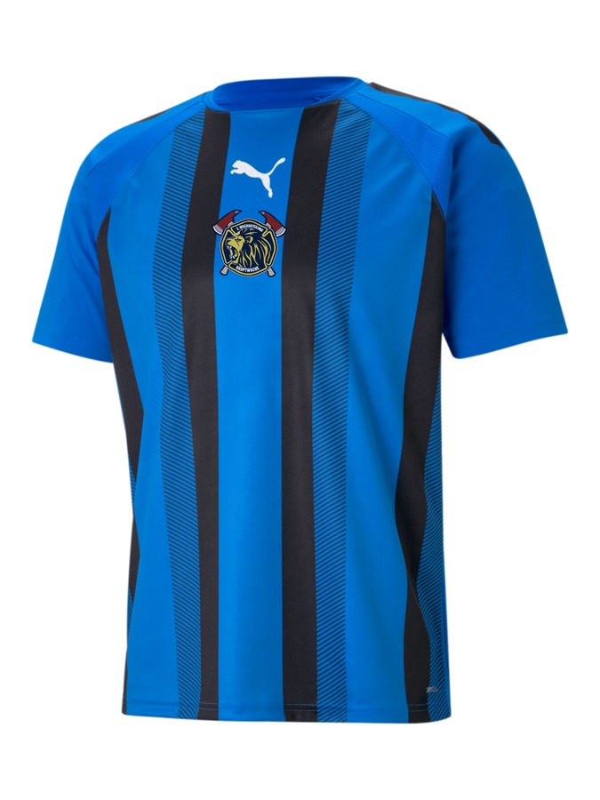 PUMA teamLIGA Striped Trikot