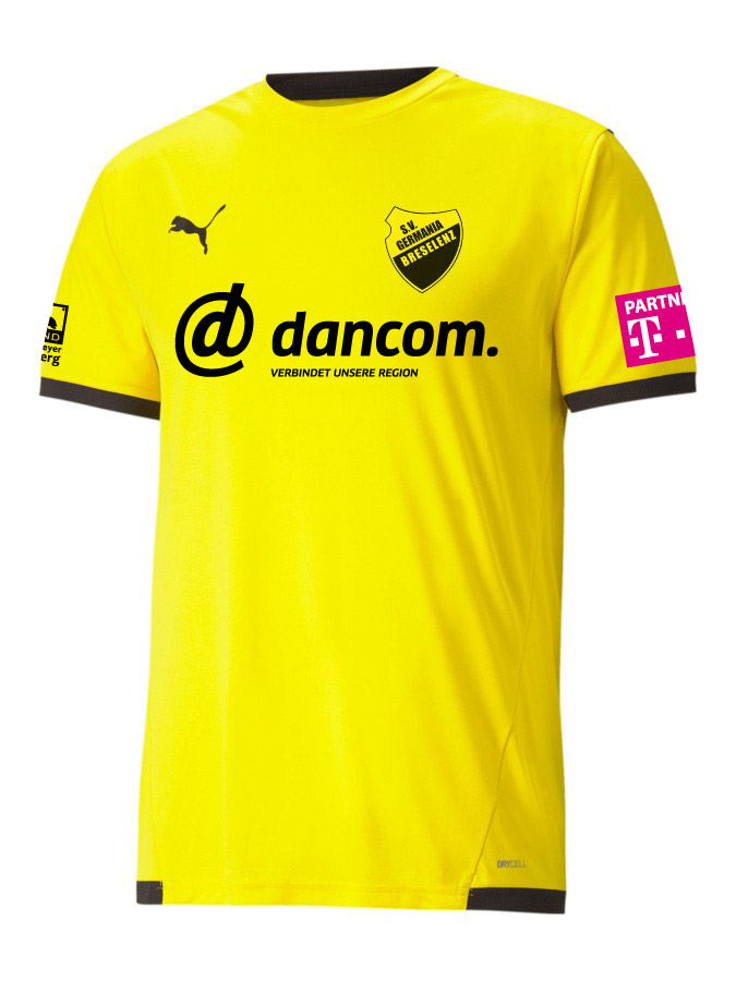 PUMA teamLIGA Trikot