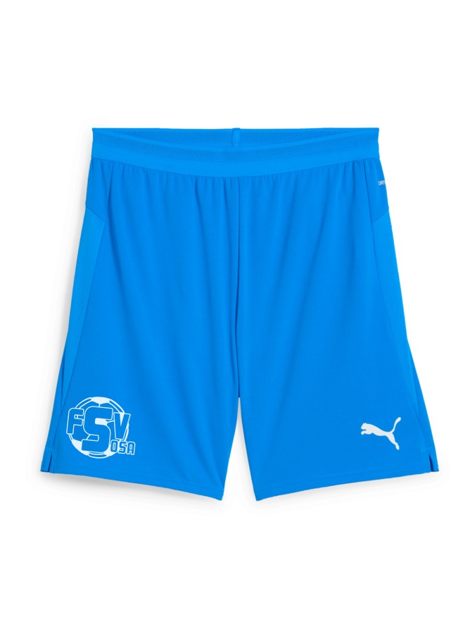 PUMA teamCUP Shorts