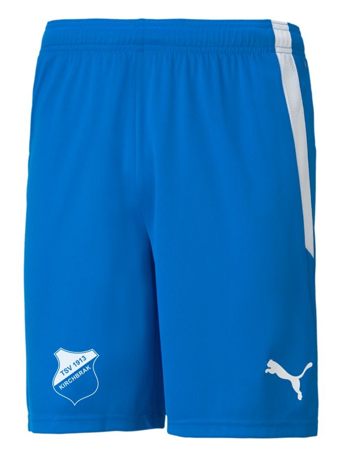 PUMA teamLIGA Shorts