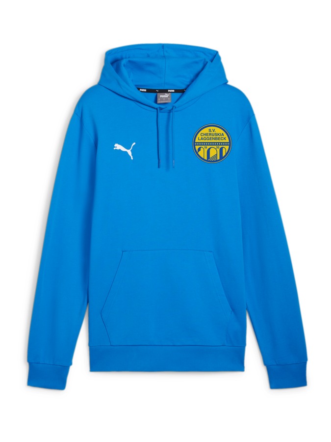 PUMA teamGOAL Casuals Hoody