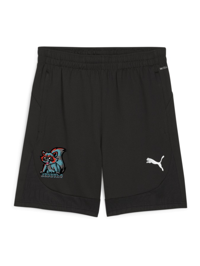 PUMA teamFINAL Training Shorts