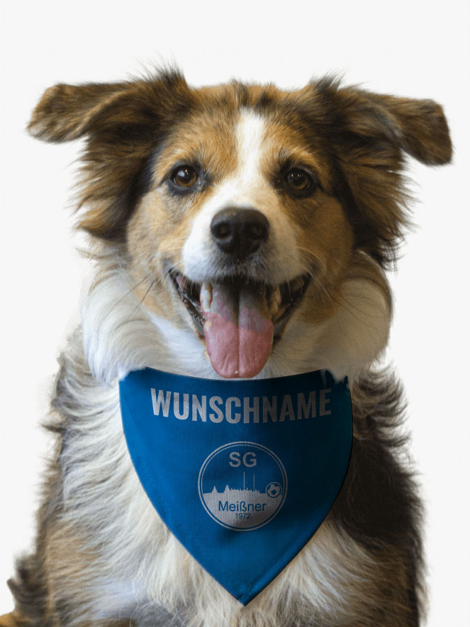 Hundehalstuch