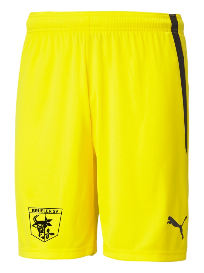 PUMA teamLIGA Shorts