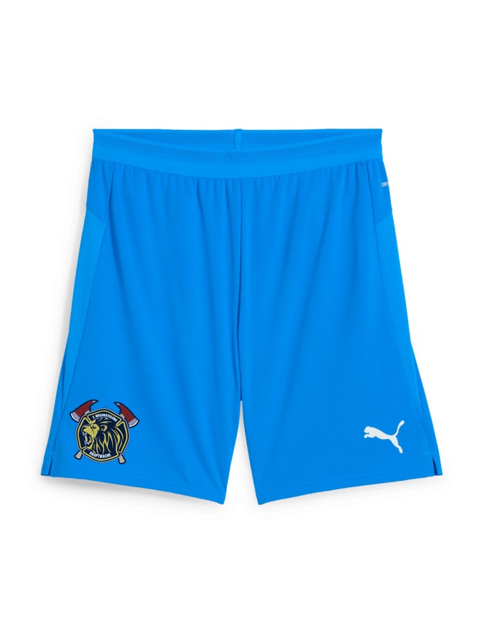 PUMA teamCUP Shorts