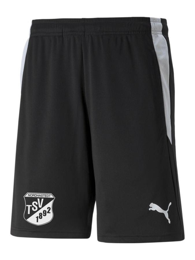 PUMA teamLIGA Referee Shorts