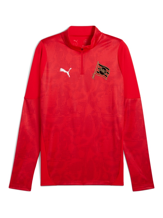 PUMA teamCUP Training 1/4-Zip-Top