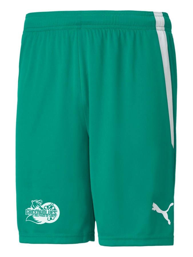 PUMA teamLIGA Shorts