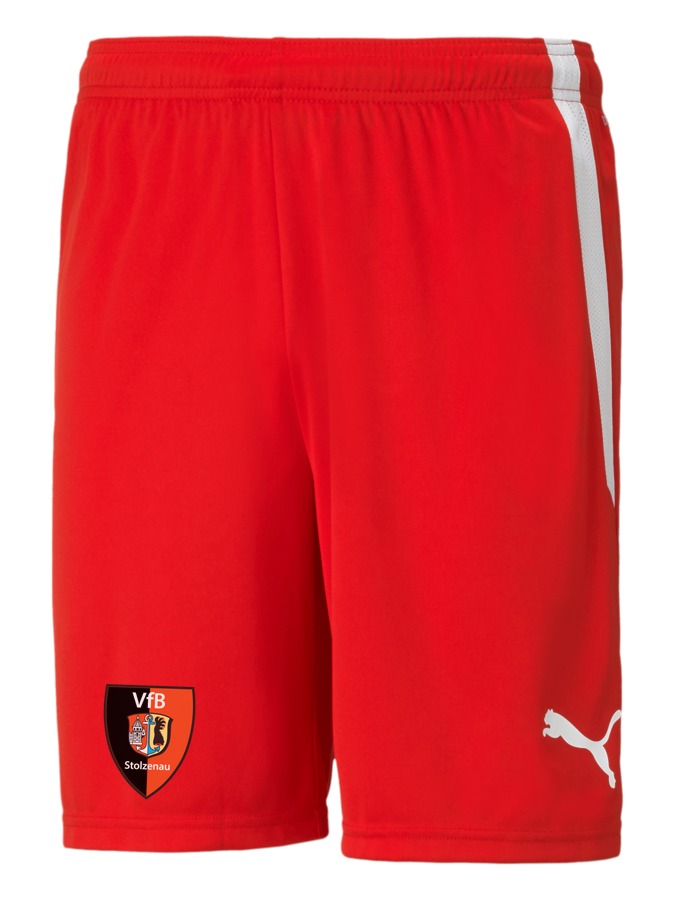 PUMA teamLIGA Shorts