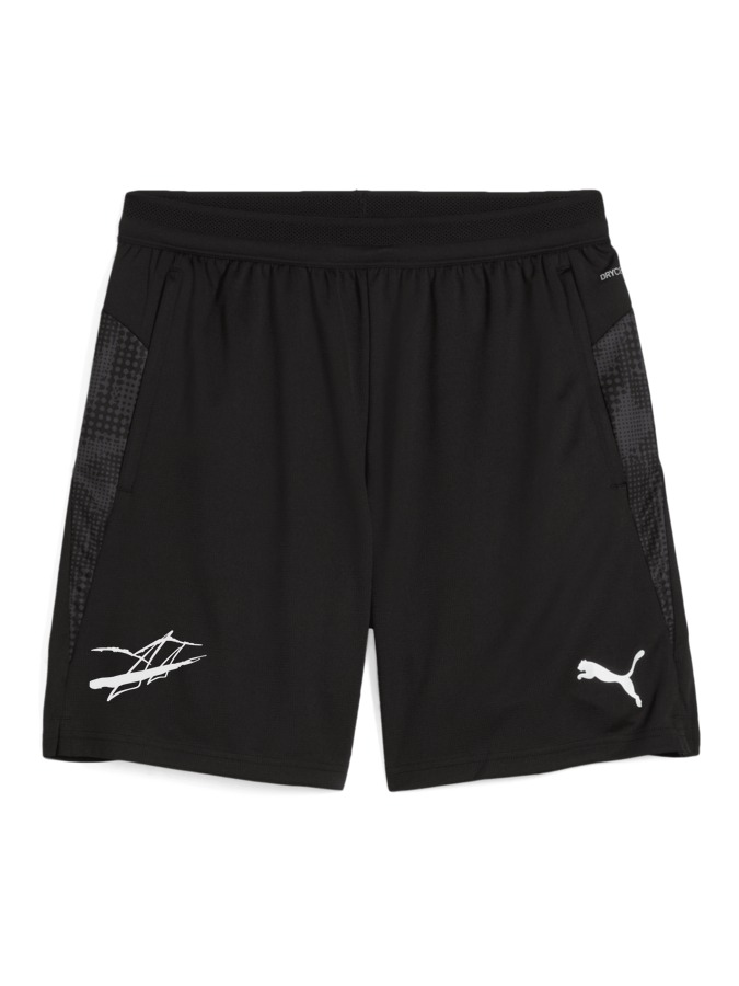 PUMA teamCUP Training Shorts