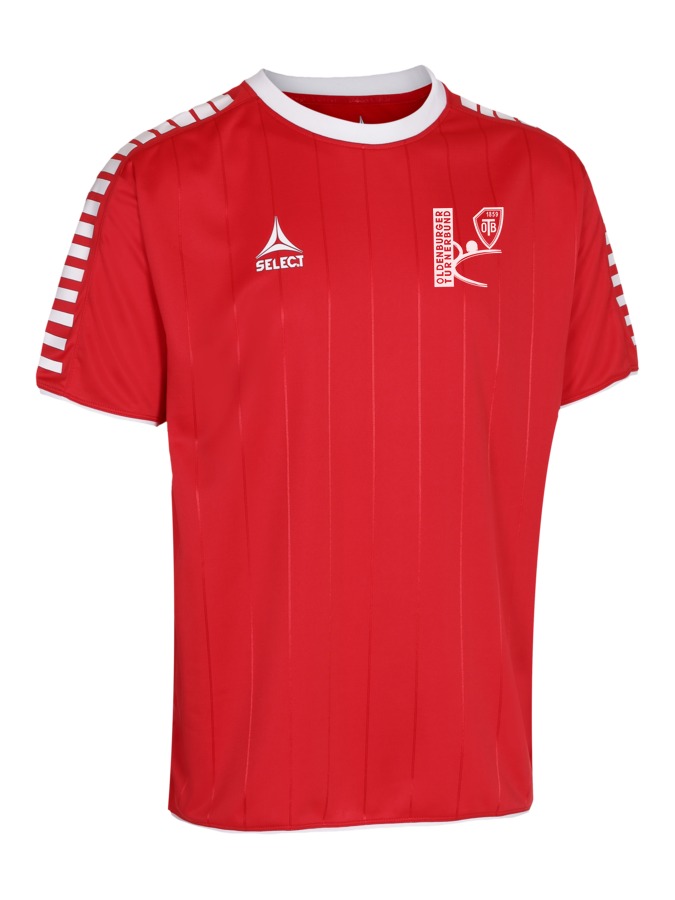 Select Argentina Trikot