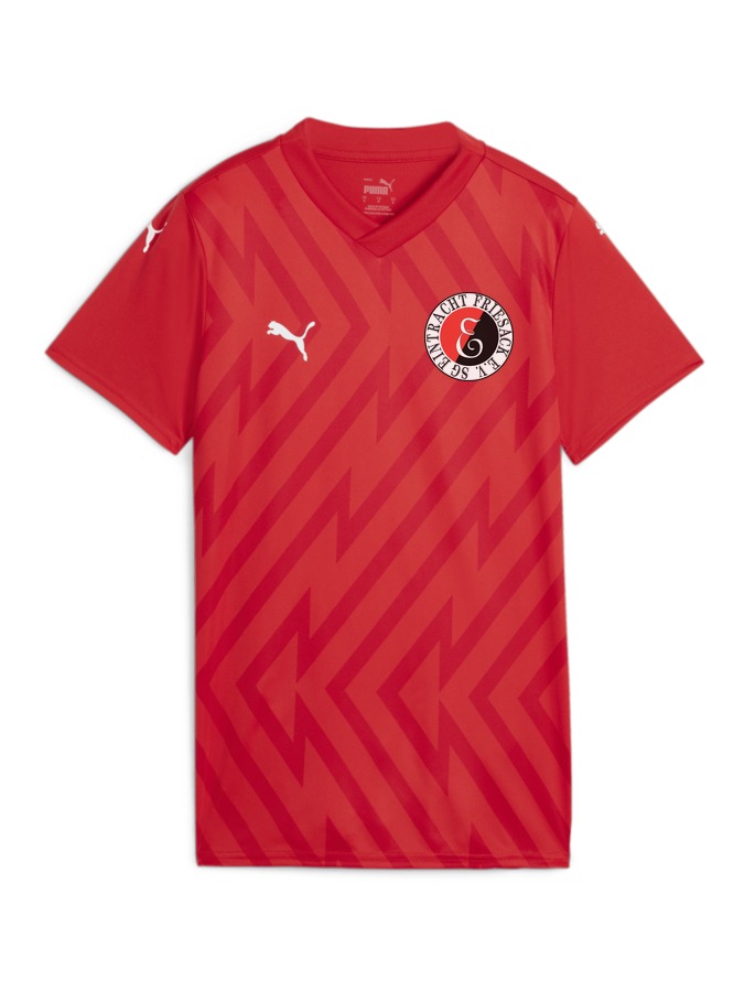 PUMA teamGLORY Trikot Damen