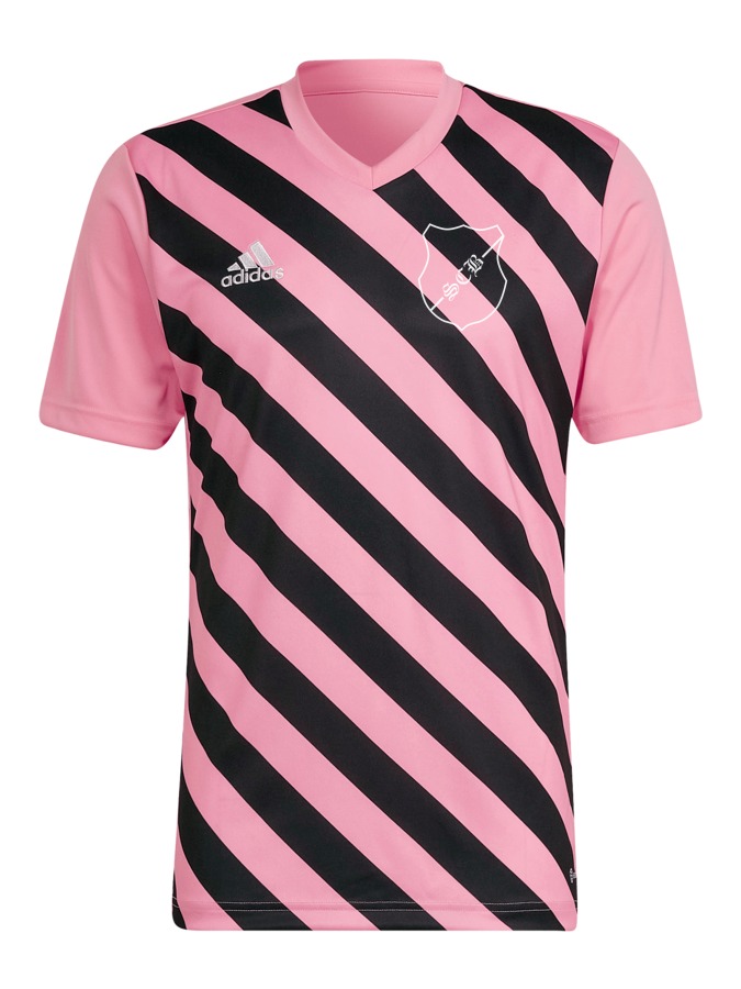 adidas Entrada 22 GFX Trikot