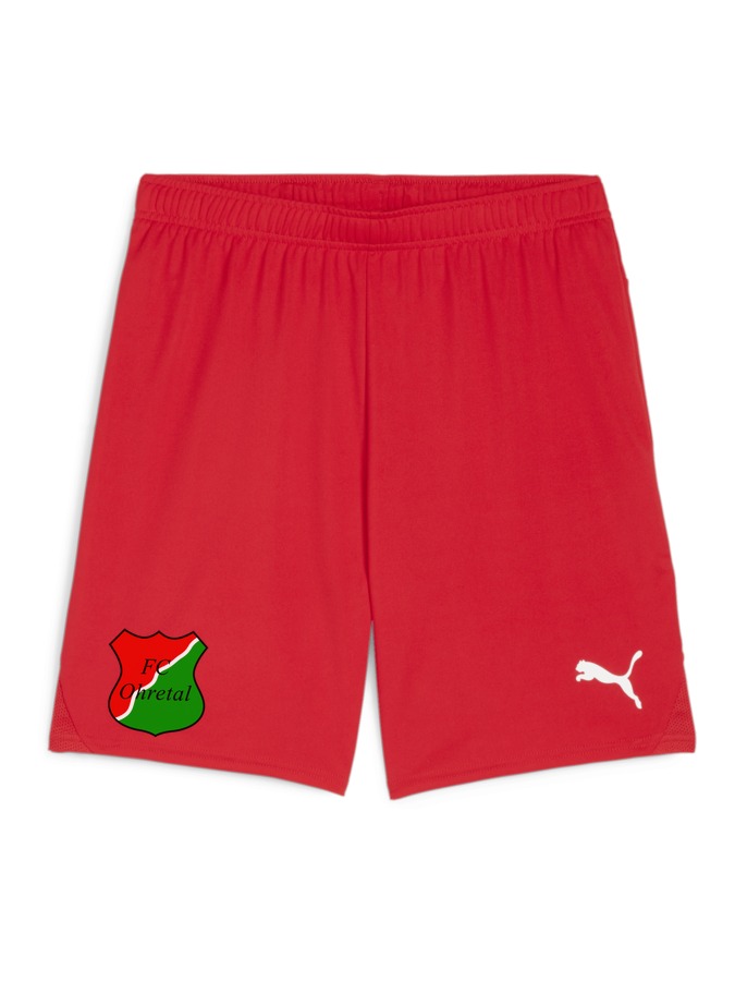 PUMA teamGOAL Shorts