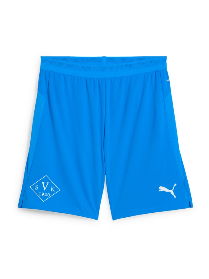 PUMA teamCUP Shorts