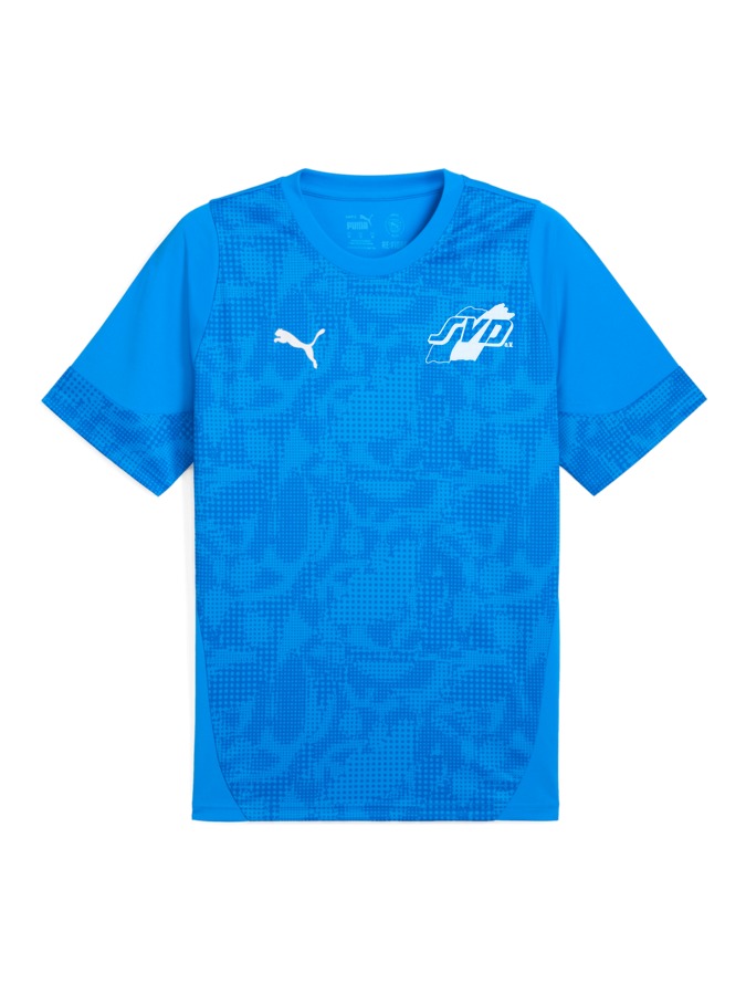 PUMA teamCUP Trainingsshirt