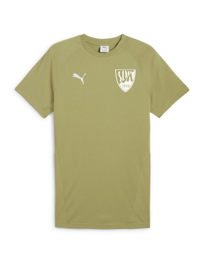 PUMA teamEVOSTRIPE T-Shirt