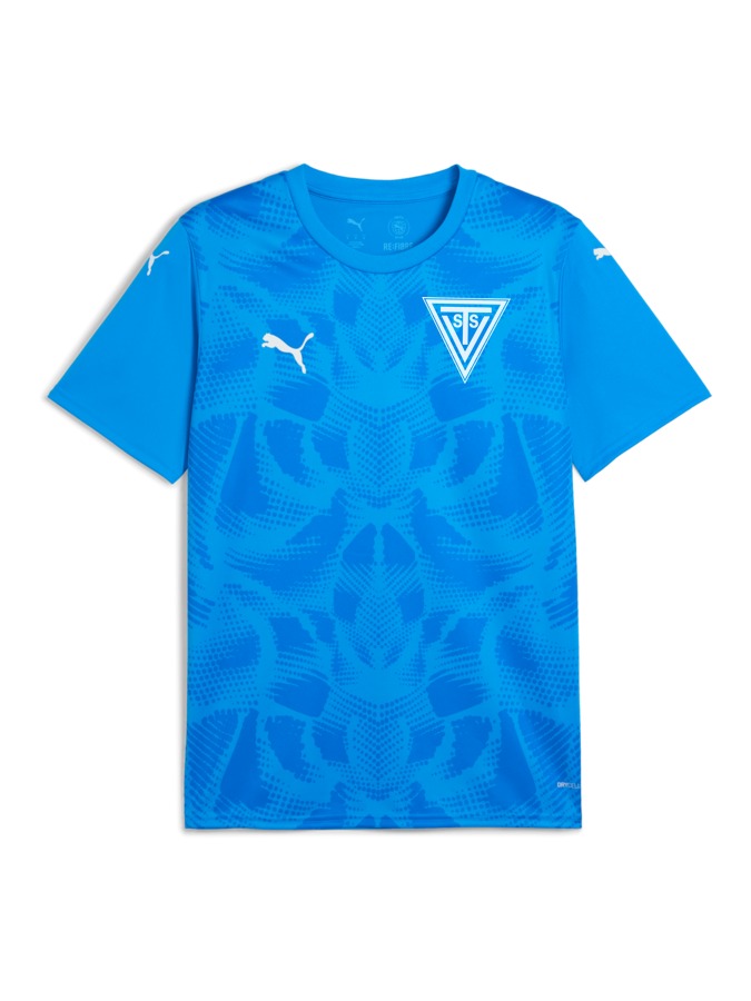 PUMA teamULTIMATE Trikot