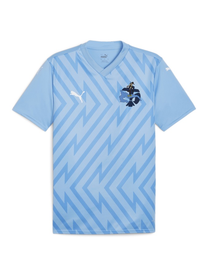 PUMA teamGLORY Trikot