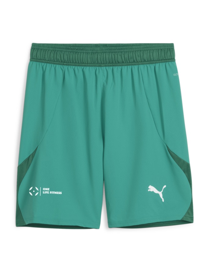 PUMA teamFINAL Shorts