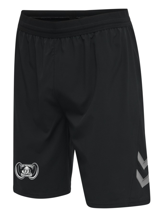 Hummel Lead Pro Training Shorts