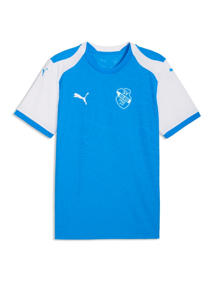 PUMA teamFINAL26 Knit Trikot