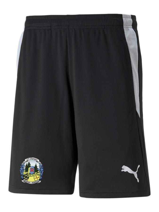 PUMA teamLIGA Referee Shorts