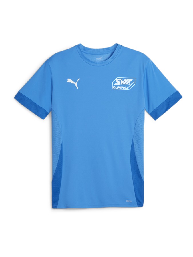 PUMA teamGOAL Matchday Trikot
