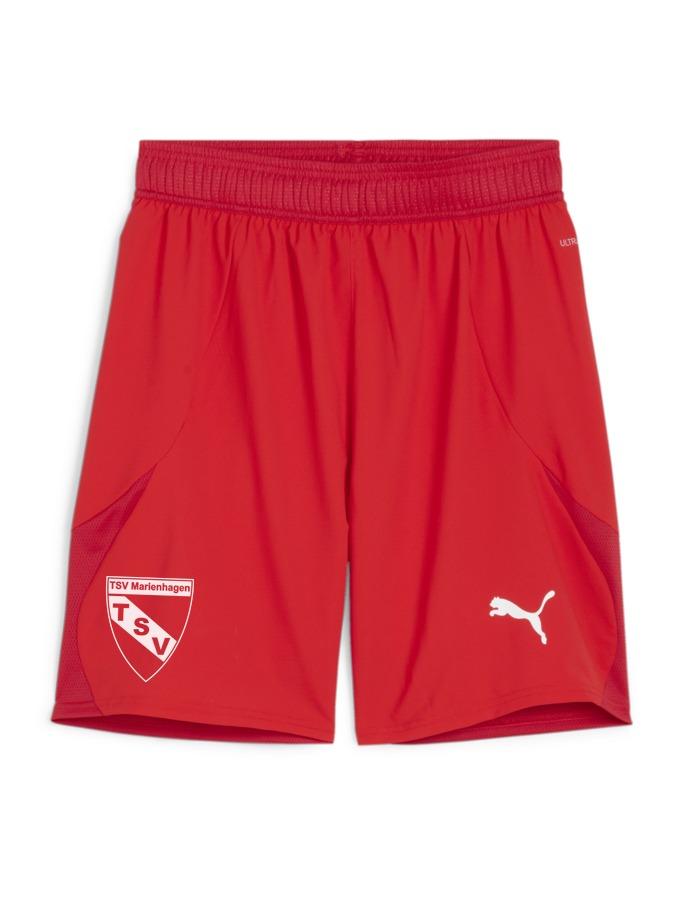 PUMA teamFINAL Shorts