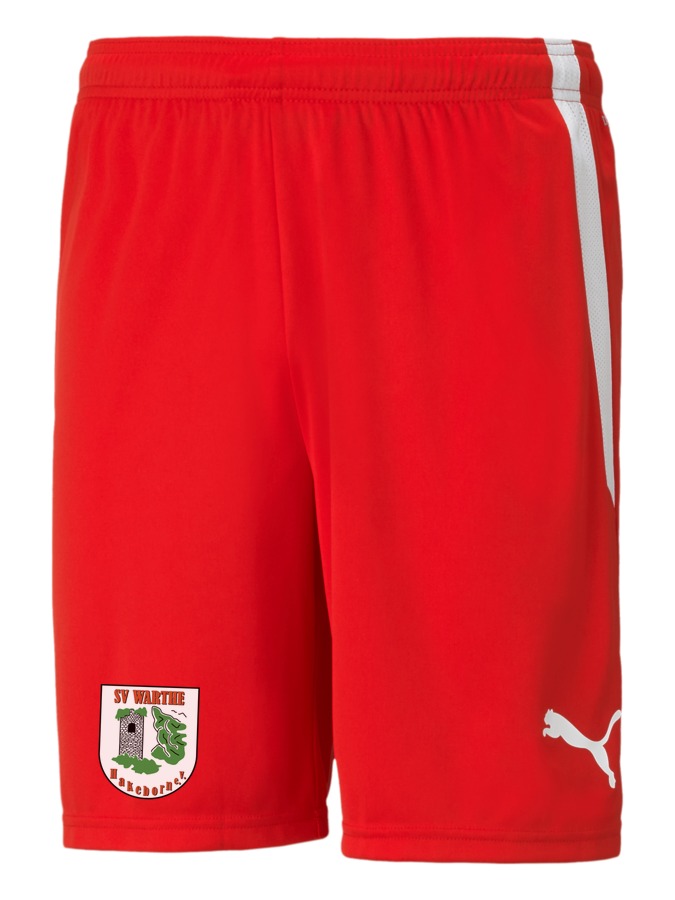 PUMA teamLIGA Shorts