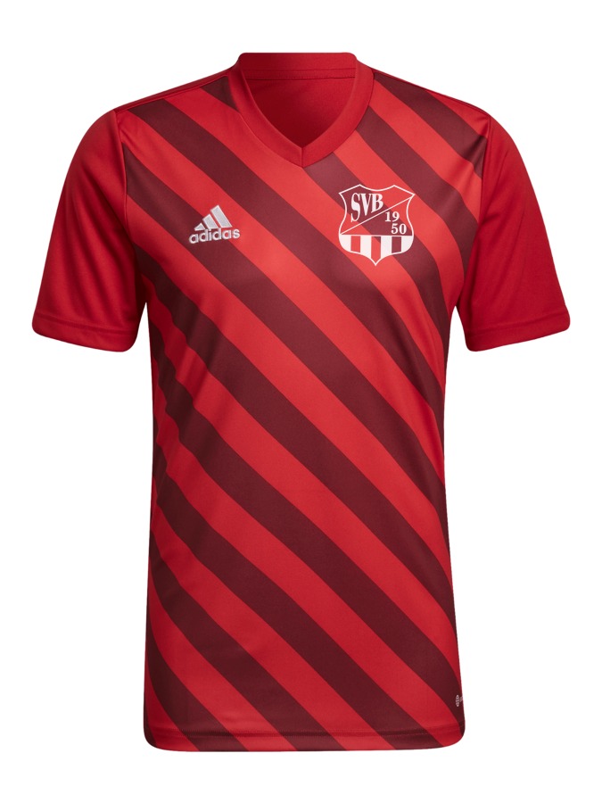adidas Entrada 22 GFX Trikot